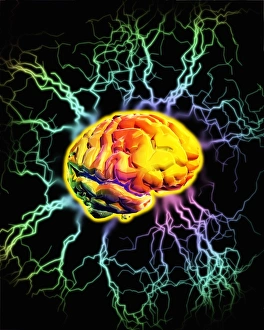 Neuroscience Computer Graphics Stampe: Brain activity