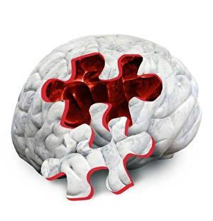 Conceptual Brain Image Stampe: Brain function, conceptual