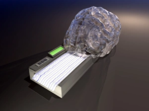 Brain Function Illustration Stampe: Brain function, conceptual artwork