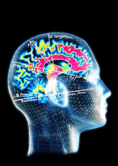 Immagini datate 2003 gennaio: Mappa cerebrale
