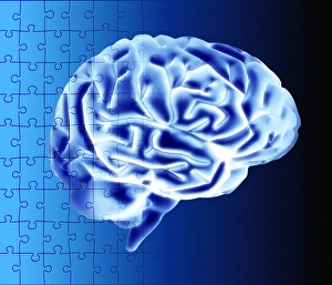 Stampe di Enigma cerebrale. Artefatto concettuale di un computer con una mente umana sovrapposta ad uno schema da gioco del mosaico Immagini datate 2003 marzo: Enigma cerebrale
