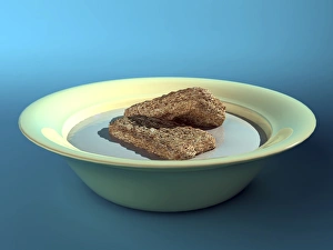 Stampe di Cereale per la colazione. Artefatto artistico di un cereale per la colazione in un piatto di latte Immagini datate 2005 agosto: Cereali per colazione, artefatto di computer.