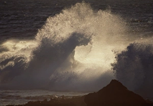Ocean Wave Crash Stampe: Breaking wave