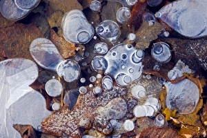 Greenhouse Gas Emissions Stampe: Bubbles of methane