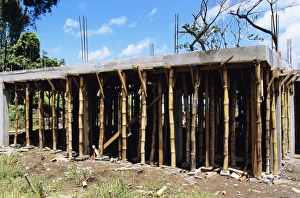 Sustainable Building Materials Stampe: Building construction