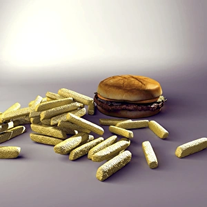 Stampe di Hamburger e patatine, artefatto di computer Immagini datate 2005 agosto: Hamburger e patatine, artefatto di computer.