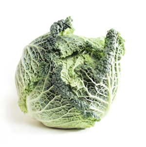 Fresh Green Vegetables Stampe: Cabbage