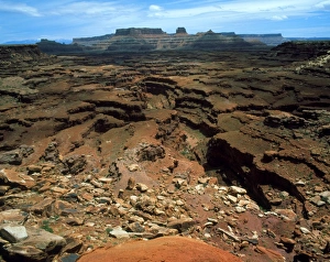 Colorado River Erosion Stampe: Canyons