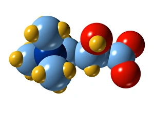 Cellular Energy Production Stampe: Carnitine molecule