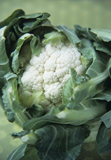 Cauliflower Nutrition Stampe: Cauliflower
