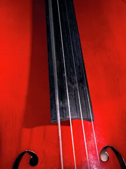 Stampe di Le corde del violoncello vibrano. La vibrazione delle corde, combinata con la progettazione e la forma del violoncello produrre suoni musicali Immagini datate 2005 settembre: Fili del violoncello