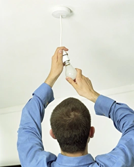 Stampe di Sostituendo una lampada elettrica con un altro elemento simile Immagini datate 2004 agosto: Sostituire la lampada a inciampo