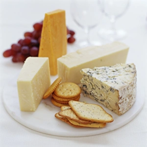 Cheese Platter Ideas Stampe: Cheese selection