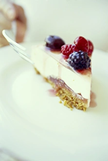 Dessert Ideas Stampe: Cheesecake