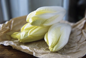 Flowering Plant Pictures Stampe: Chicory