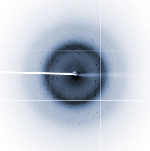 Electron Microscopy Images Stampe: Chikungunya virus diffraction pattern