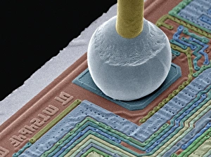 Coloured Scanning Electron Microscopy Stampe: Chip connector, SEM