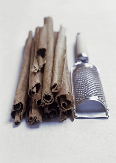 Fragrant Spices Stampe: Cinnamon