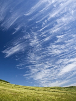 Cirrus Clouds Stampe: Cirrus clouds