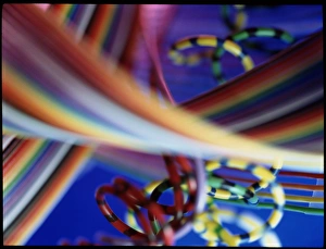 Stampe di Fibra del computer. Prossimità di diverse fibre otticali per computer, una lunghezza di cassetta a colori è vista all'avantreno Immagini datate 1999: Immagine a l'ingrandimento di alcuni cavi dei dati del computer