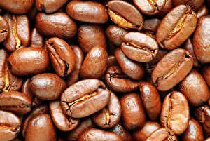 Stampe di I semi di caffè. Questi semi rossolati delle semine della pianta del caffè (Coffea sp.) contengono il farmaco stimolante la caffeina Immagini datate 2009: Bambini di caffè