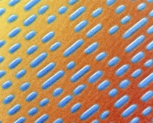 Stampe di La superficie del disco compact disc. Micrografia elettronica di scansione colorata (SEM) della superficie di un disco compattatore audio (CD) Immagini datate 2005 maggio: Semi colorato del superficie della CD compatta