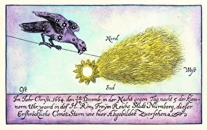 17th Century Astronomy Stampe: Comet, 1664