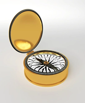 Earths Magnetic Field Stampe: Compass