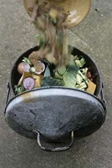 Environmentally Friendly Practices Stampe: Composting