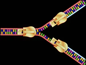 IL DNA Stampe: L'arte del computer di riproduzione dell'ADN.