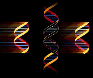 Genetic Engineering Stampe: Computer artwork of genetic engineering