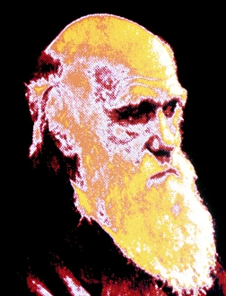 Charles Darwin Portrait Stampe: Computer coloured portrait of Darwin