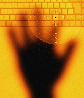 Computer Crime Prevention Stampe: Computer crime
