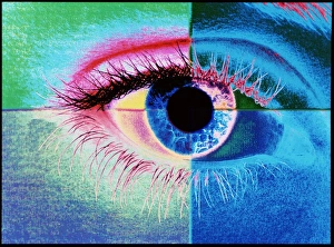 Human Eye Anatomy Stampe: Computer graphic image of a human eye