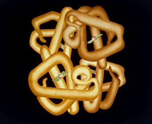 Red Blood Cell Anatomy Stampe: Computer graphics of haemoglobin molecule