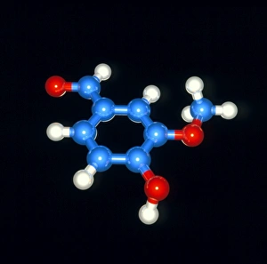 Stampe di La vanillina. Modello computer di una molecola di vanillina (formula: C8H8O3). Gli atomi sono sferici e colorati con codice arancione: carbonio (blu), idrogeno (bianco) ed ossigeno (rosso) Immagini datate 2002 ottobre: Modello computer di una molecola di vanillina