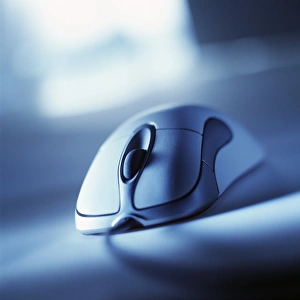 Computer Mouse Stampe: Computer mouse