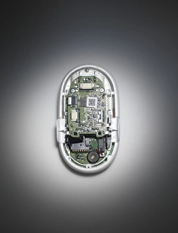 Computer Hardware Details Stampe: Computer mouse interior