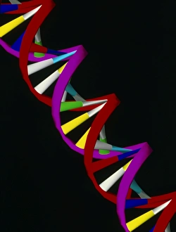 Deoxyribonucleic Acid Stampe: Computer representation of part of a DNA molecule