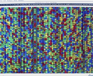 DNA Sequencing Stampe: Computer screen display of DNA sequencing pattern