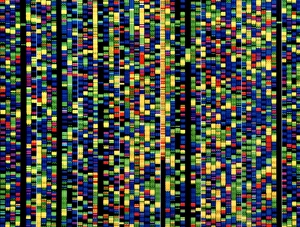 IL DNA Stampe: Schermo del computer che mostra una sequenza genetica umana