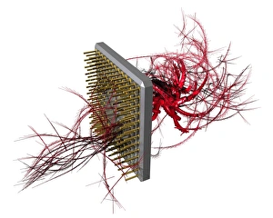 Computer Virus Concept Stampe: Computer virus, conceptual artwork