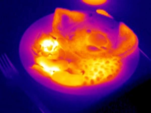 Stampe di Colazione cotta. Termogramma della colonna di alimento cottuto su un piatto. I colori mostrano variazioni nella temperatura Immagini datate 2004 marzo: Colazione cotta, termografia