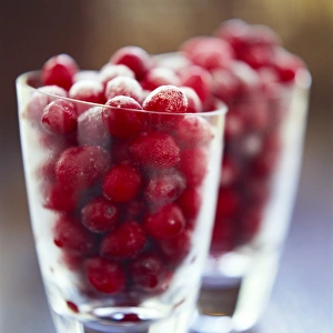 Stampe di Le cranberrie (Vaccinium oxycoccus) nei bicchieri. Questo frutto diventa commestibile solo dopo l'esposizione al gelo. Si utilizza per fare salse e succi Immagini datate 2003 giugno: Cranberries