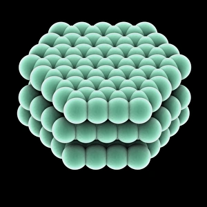 Hexagonal Carbon Lattice Stampe: Crystal structure of graphite, artwork