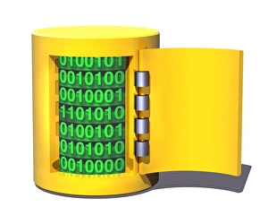 Data Protection Concept Stampe: Data security