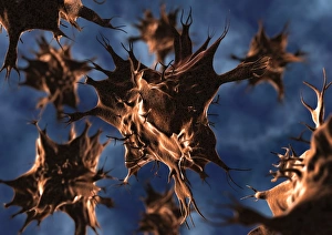 Immune System Cells Stampe: Dendritic cell, computer artwork