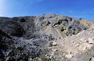 Devonian Period Stampe: Devonian layer