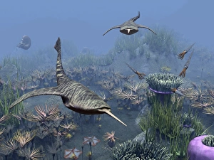 Devonian Period Fossils Stampe: Devonian sea, artwork