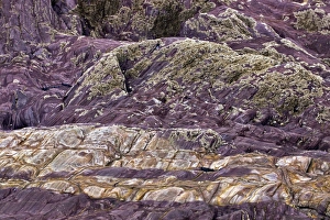 Sedimentary Rock Layers Stampe: Devonian slates C017 / 8314